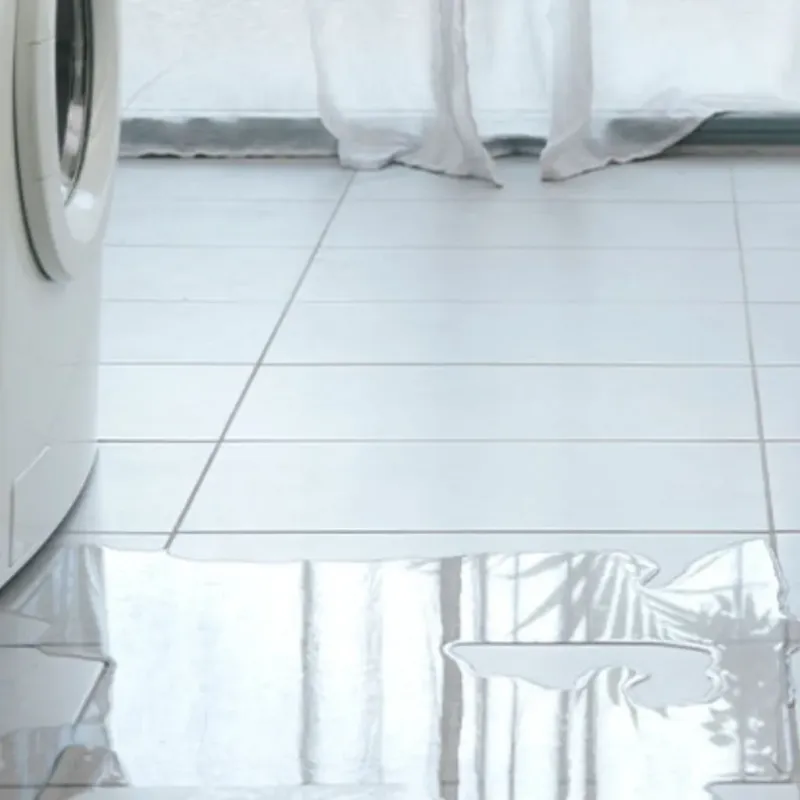 Appliance Leak Cleanup in Liberty County, GA